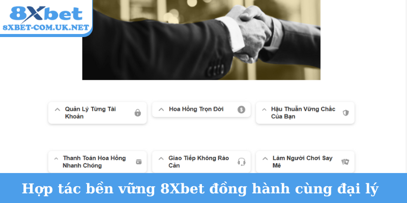 Hợp tác bền vững 8Xbet đồng hành cùng đại lý