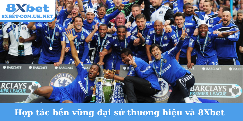 Hợp tác bền vững đại sứ thương hiệu và 8Xbet