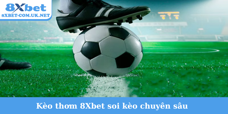 Kèo thơm 8Xbet soi kèo chuyên sâu