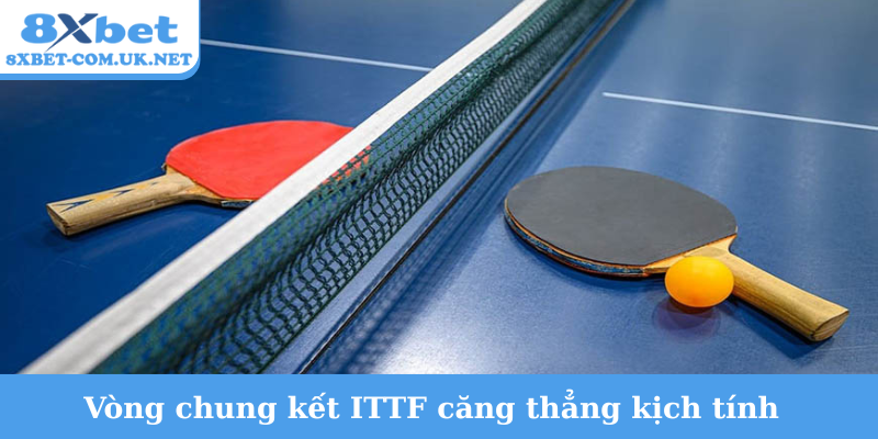 Vòng chung kết ITTF căng thẳng kịch tính